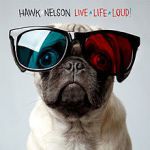 hawk nelson